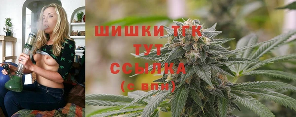 винт Арсеньев