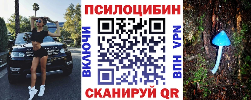 Псилоцибиновые грибы Cubensis  Новомосковск 